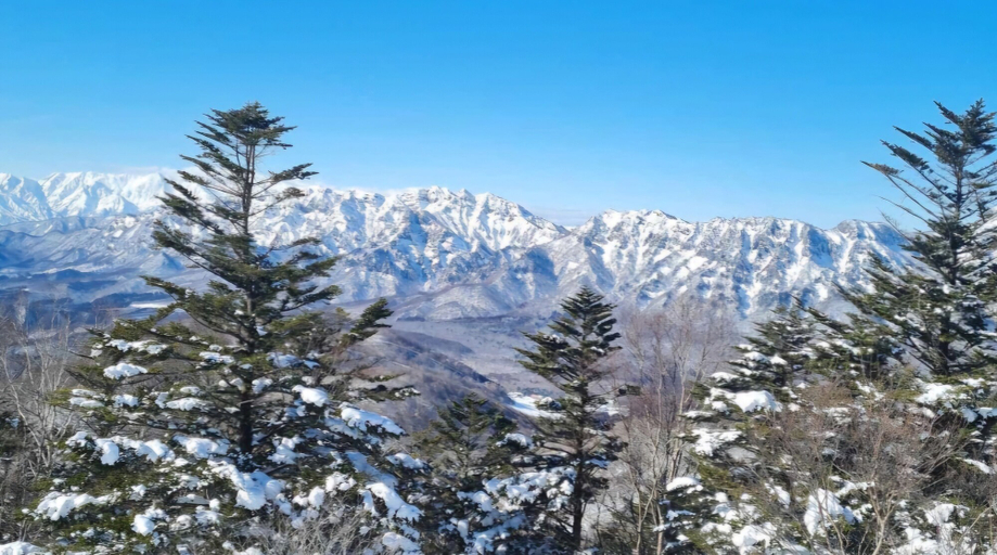 Miscellaneous 3, Sanso On Snow, Nagano