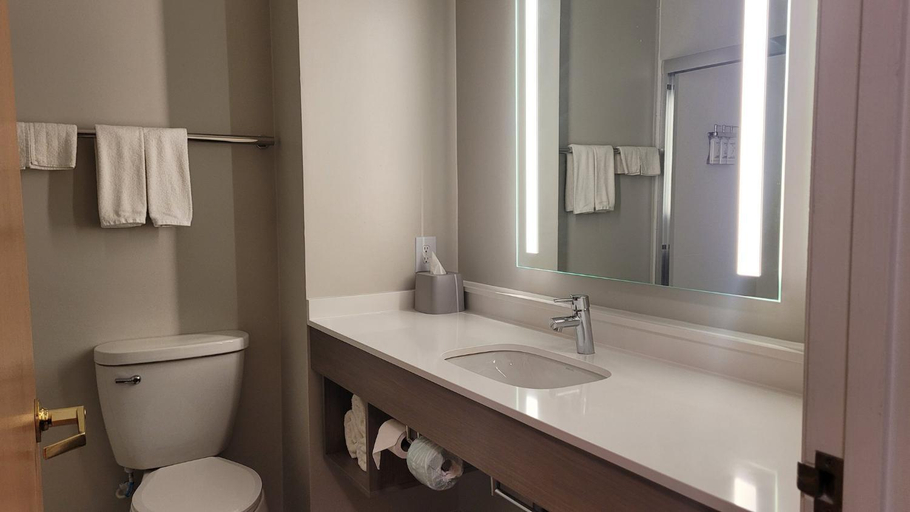 Bathroom 3, Holiday Inn Express Plymouth By IHG, Marshall