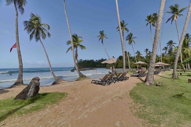 Room 4, The Palms View Playabonita Beachfront Pool BBQ, Las Terrenas