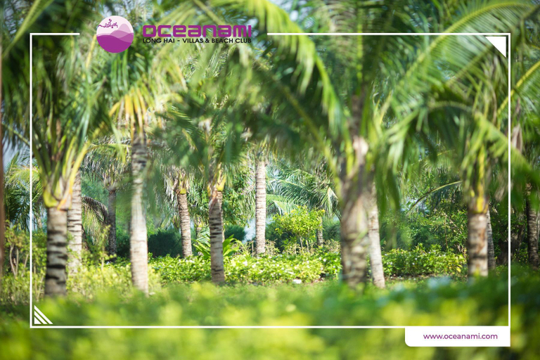 Others 4, OCEANAMI VILLAS MINHTÂM, Đất Đỏ