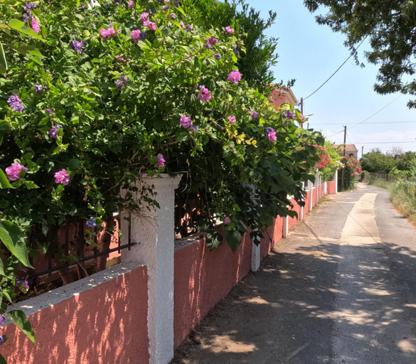Others 4, Antigoni Apartments, Ionian Islands