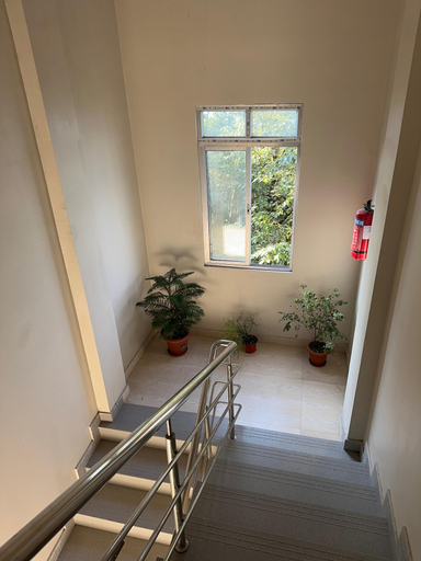 Interior 3, Hotel Basera, Darjiling