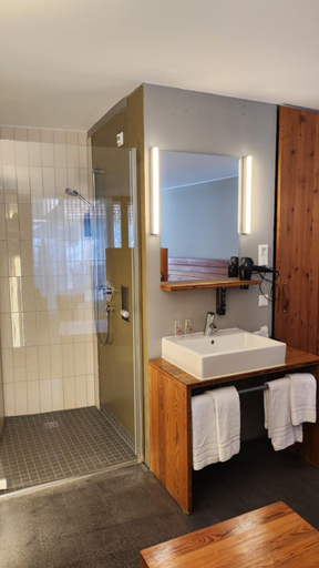 Bathroom 3, Speidel´s BrauManufaktur, Reutlingen