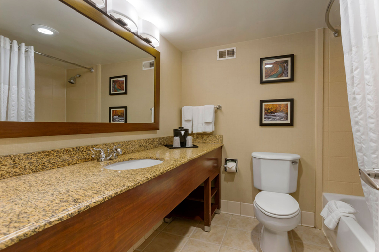 Bathroom 4, Comfort Inn & Suites Presidential, Pulaski