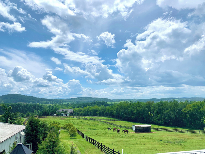 Miscellaneous 1, Stable Craft Brewing & Cidery, Augusta