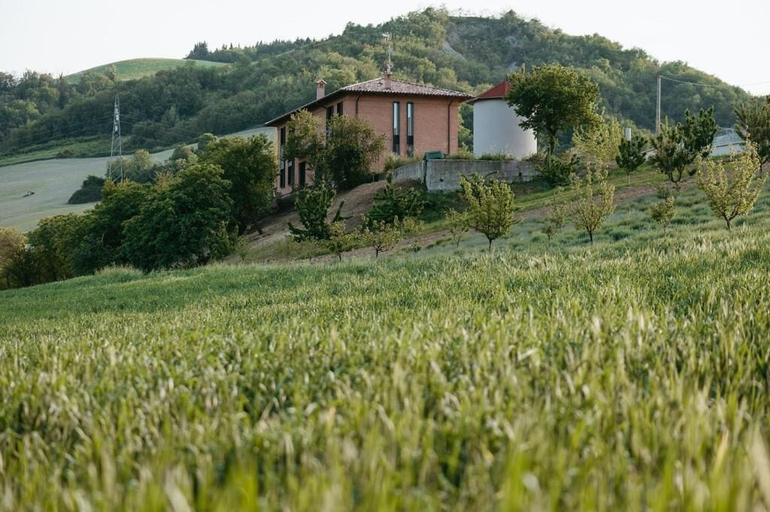 Exterior 5, azienda agricola pandolfa, Forli' - Cesena