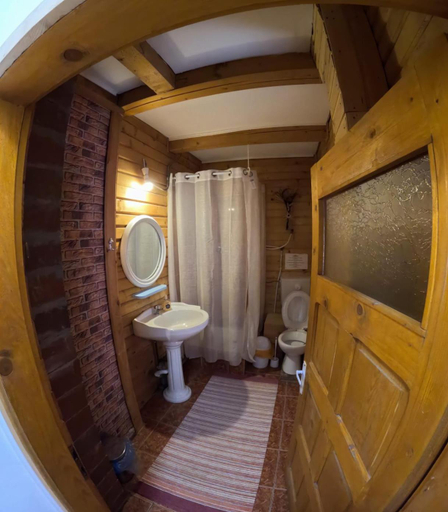 Bathroom, Cabana "Trei Brazi " Retezat, Rau De Mori