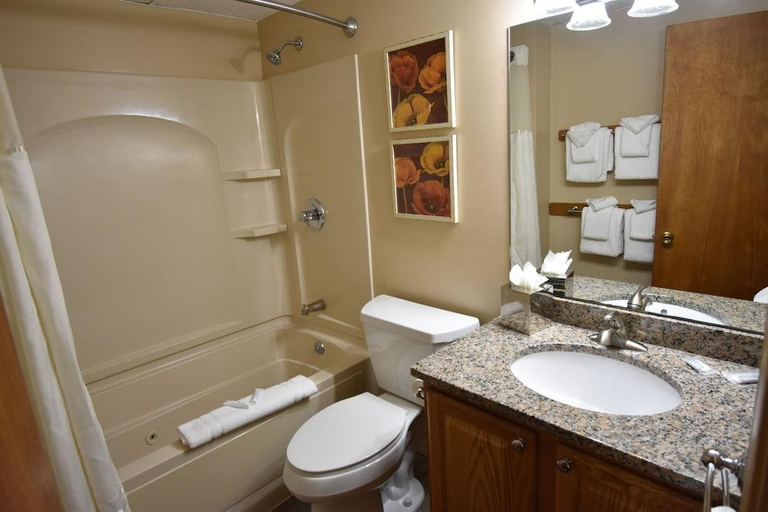 Bathroom 4, Attitash Village, Carroll