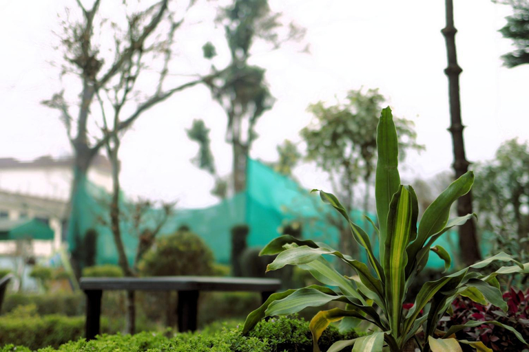 Others 5, Bhimtal Home Stay Inn, Nainital