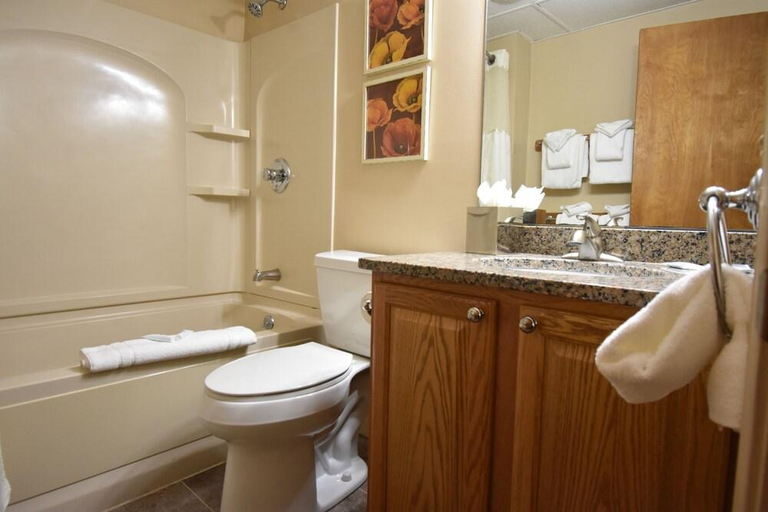 Bathroom 4, Attitash Mountain Village, Carroll