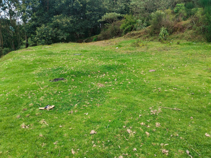 Others 5, ooty dreams cottage, The Nilgiris