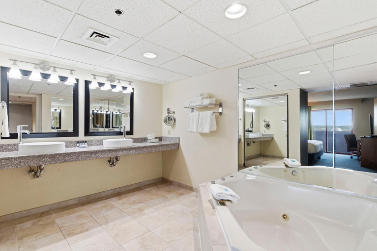 Bathroom 4, Thousand Hills Resort Hotel, Taney