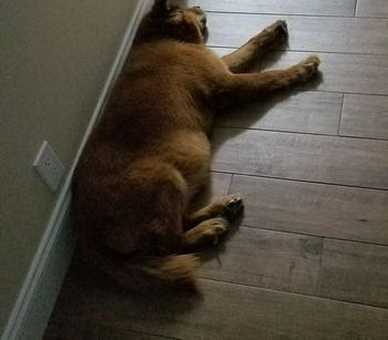Others 3, Sea Steps Suites, Broward