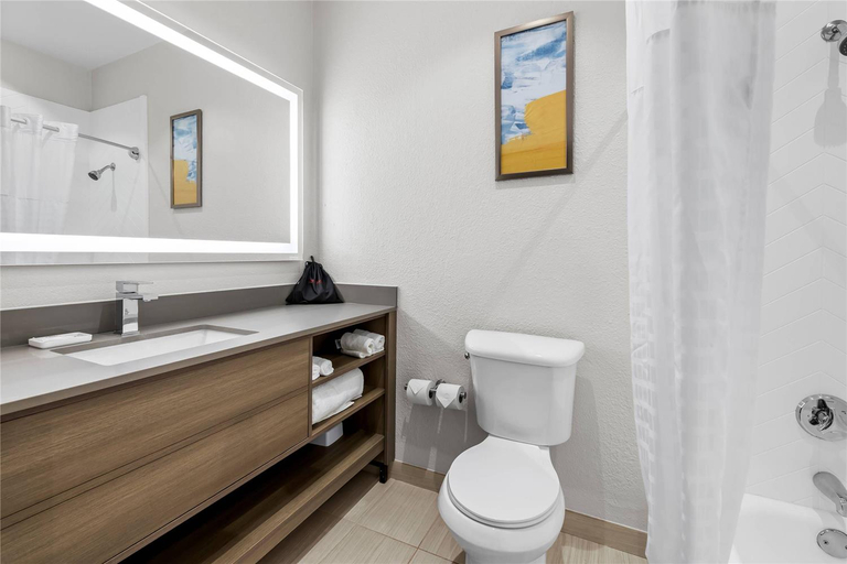 Bathroom 4, Comfort Suites Texarkana Texas, Bowie