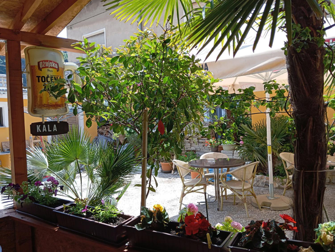 Food & Drinks, Rooms with WiFi Rijeka - 23254, Rijeka