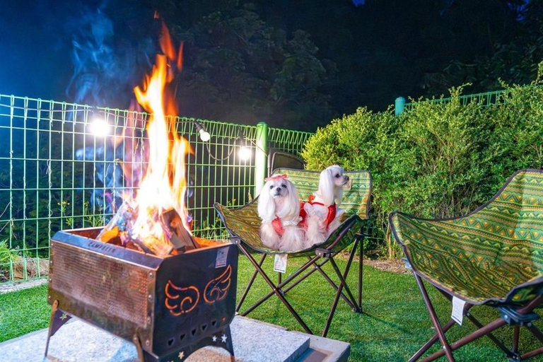 Food & Drinks 4, Gapyeong Dingdongdaeng Pet Spa Pool Villa, Gapyeong