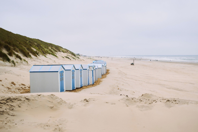 View from property 5, Den Burg Holiday Home for 8, Texel