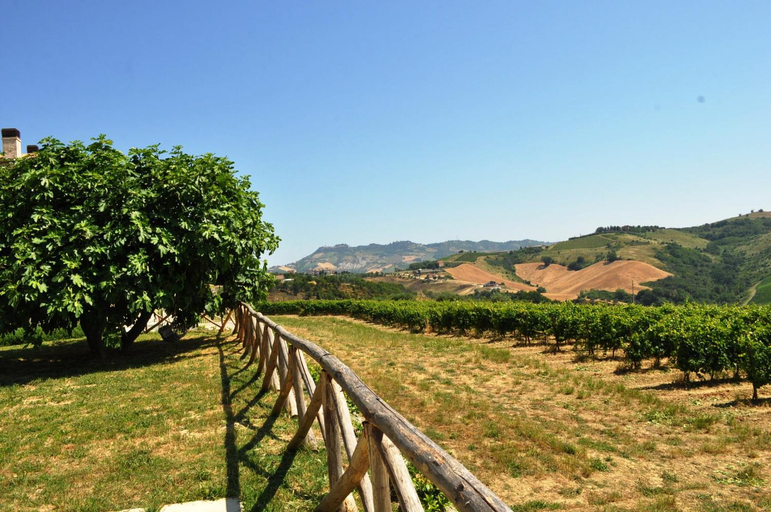 Others 4, La Terrazza sul Vigneto, Ascoli Piceno