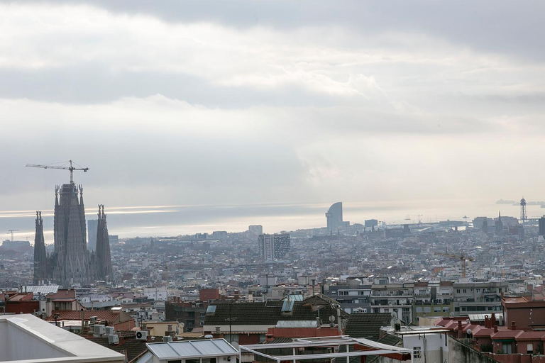 Others 4, Alcam Baro, Barcelona