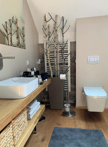 Bathroom 3, Designer Apartment With Sauna, hot tub and Fireplace in a Historic Courtyard House, Bautzen