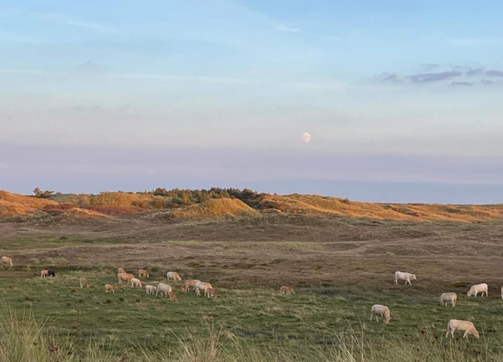 View from property 4, Chalet Near Sint Maartenszee Beach, Zijpe