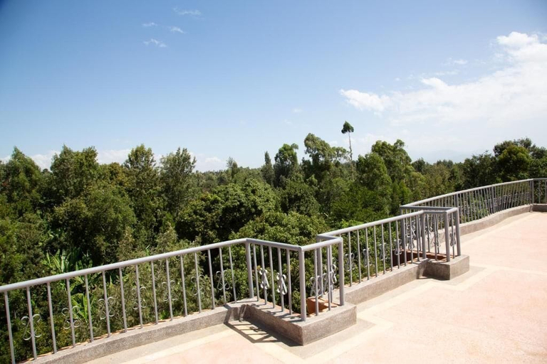 Property grounds 2, Ashville Homes, North Imenti