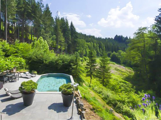 Pool 2, Luxury Ardennes Villa With Pool and Sauna, Liège