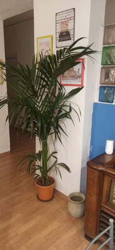 Others 4, B&B New suite, Palermo