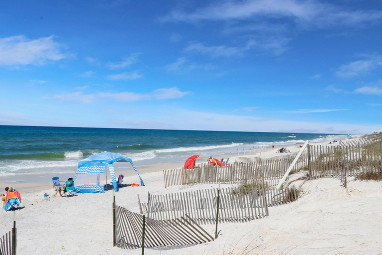 Primary image, My Tide, Gulf