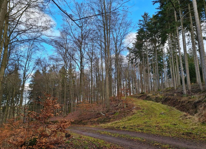 View from property 4, Gemutliche Ferienwohnung, Beilngries, Eichstätt