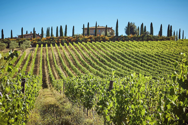 Exterior 5, Tenuta Golo, Siena