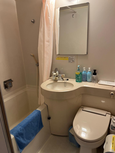 Bathroom 2, Shingu Central Hotel, Shingū