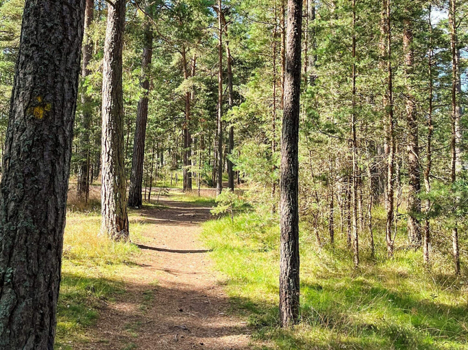 Miscellaneous 2, 4 Star Holiday Home in Yngsjo, Sverige, Kristianstad
