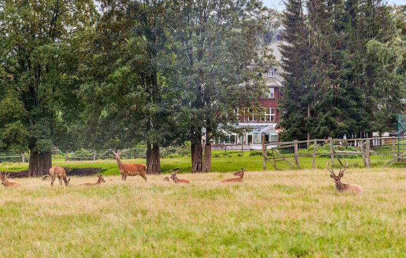 Garden 2, Ferienhaus am Hotel mit Gastro und Wellnes, Harz