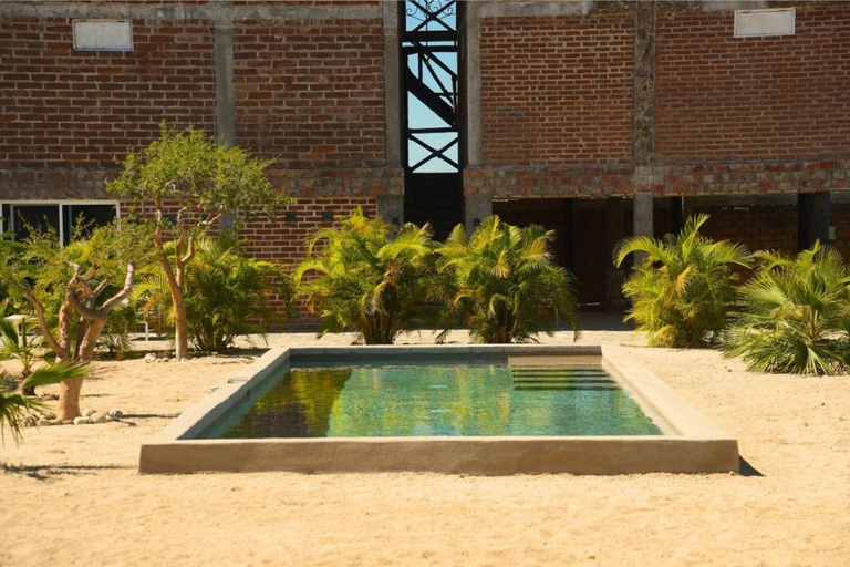 Sport & Beauty 5, Cerritos Baja Eco Pet Friendly Boutique stay, La Paz