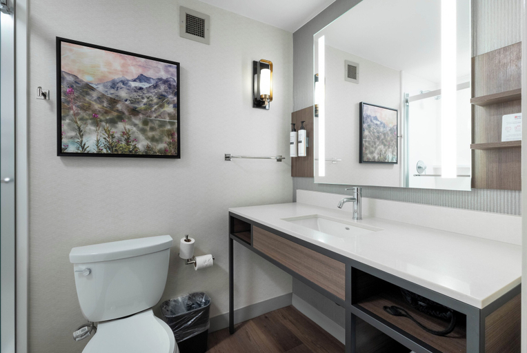 Bathroom 5, Hilton Garden Inn Kalispell, Flathead