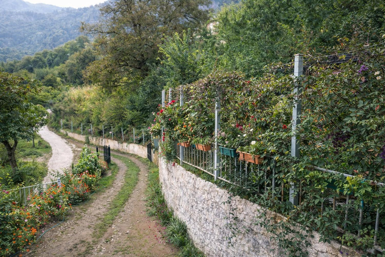 Others 2, Chateau Chao, Khulo