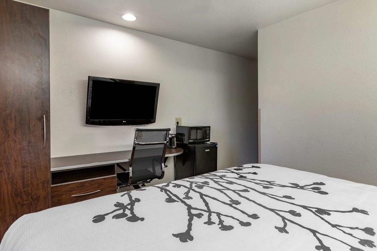 Bedroom 3, Sleep Inn & Suites Kalamazoo Southwest, Kalamazoo