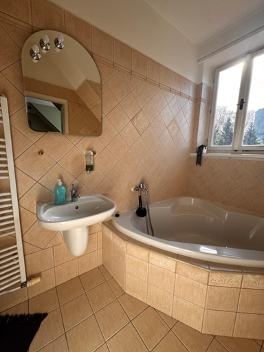 Bathroom 5, Penzion Landstejnsky dvur, Jindřichův Hradec