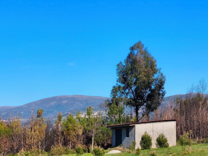 Exterior 4, Eco-Bungalow Vista Serra da Estrela, Seia