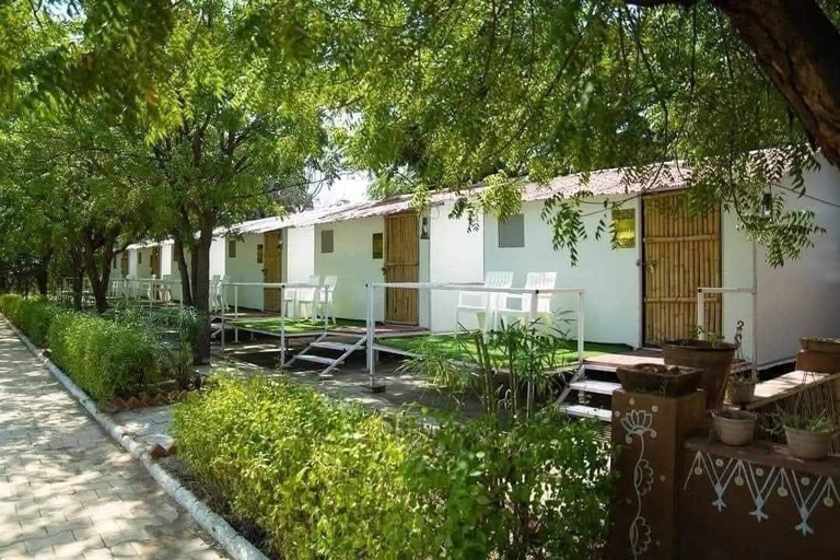Property grounds 2, Dhinga Masti, Surendranagar