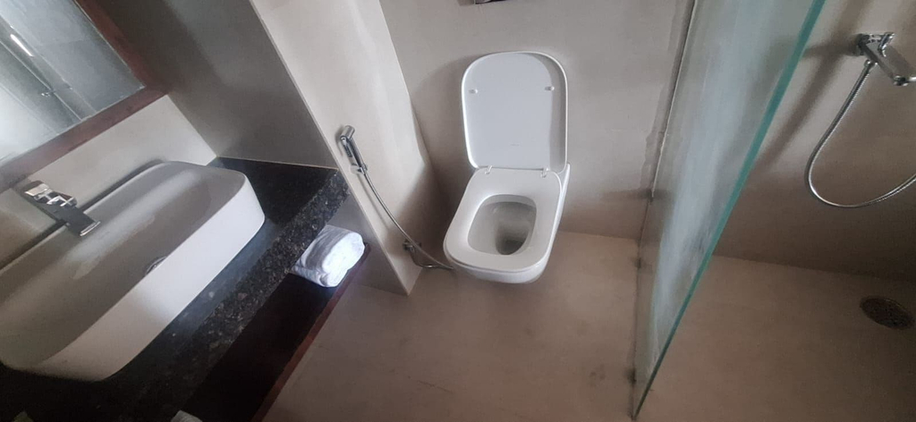 Bathroom, HOTEL REGALIA, Bathinda