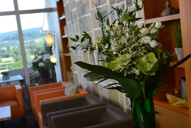 Public Area 2, TRIP INN Landhotel Bad Soden-Salmünster, Main-Kinzig-Kreis