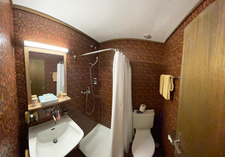 Bathroom, Gasthof Tenne - Ferie mit Harz, Obersimmental