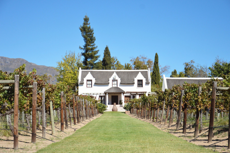Exterior 2, Monkscowl Estate, Cape Winelands