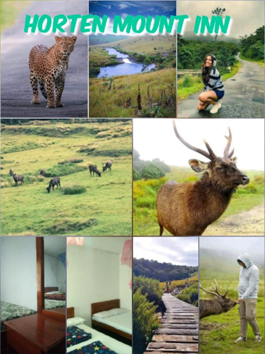 Others 3, Horton Mountain, Welimada