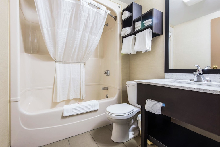 Bathroom, Comfort Inn Owen Sound, Grey