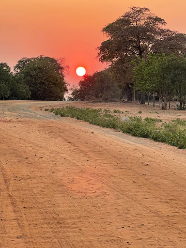 Miscellaneous 5, Mpala Guest & Adventure Farm, Hwange