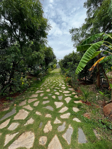 Property grounds 3, Aura, Krishnagiri