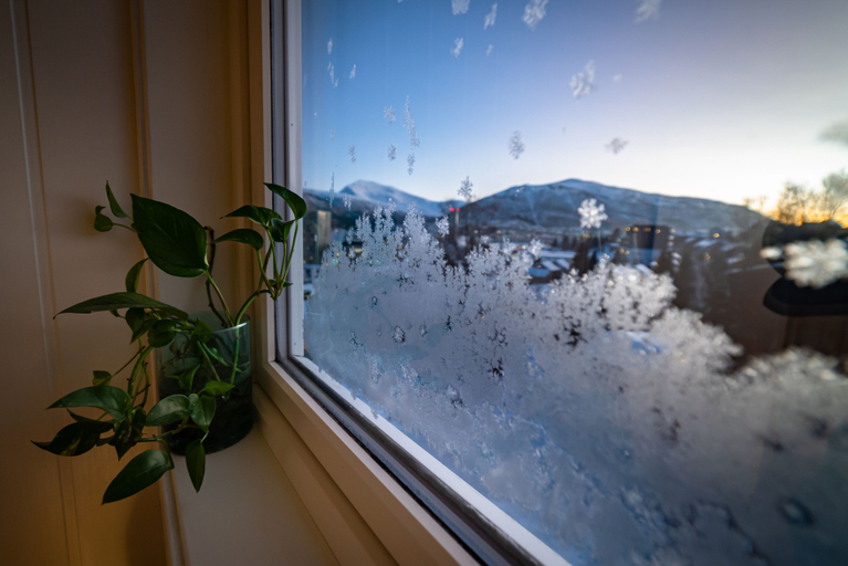 Others 5, Boukersen Heim, Tromsø